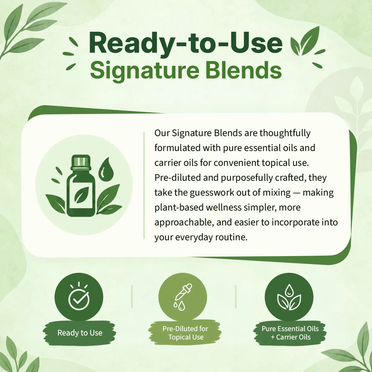 Skin Essentials - Daily Use
